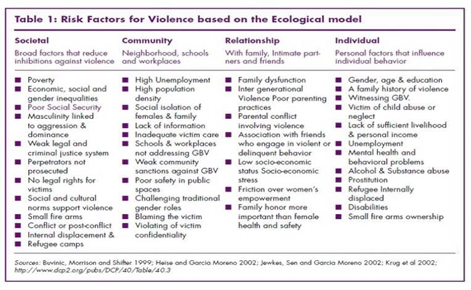 Risk Factors for Violence