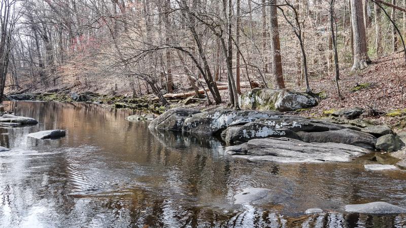 RPCA RO Dora Kelley Nature Park 1