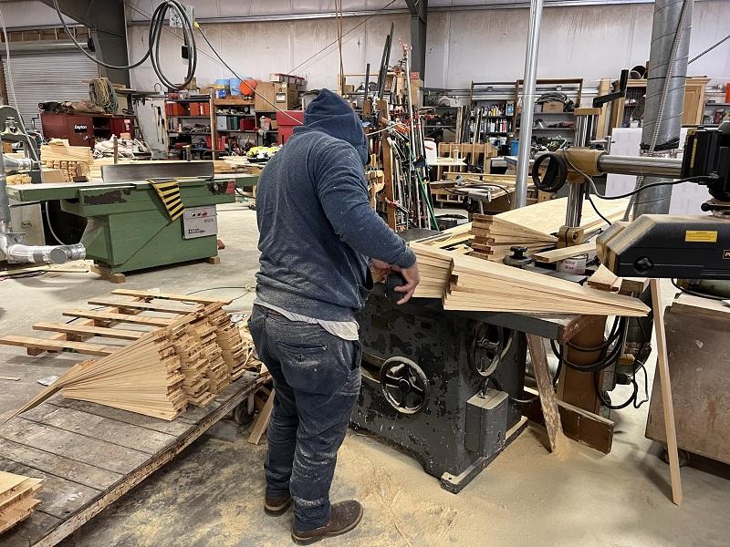 Sawing shingles from the Nootka cedar
