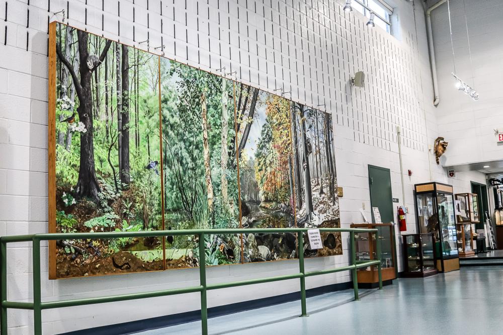 RPCA RO Jerome Buddie Ford Nature Center 27
