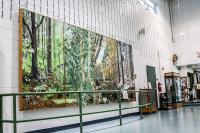 RPCA RO Jerome Buddie Ford Nature Center 27