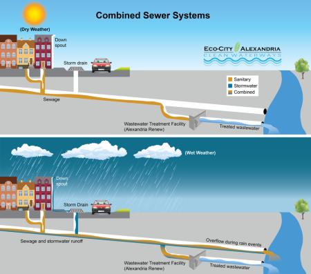 Graphic depicting Alexandria's combined sewer system, which can overflow during heavy rain events