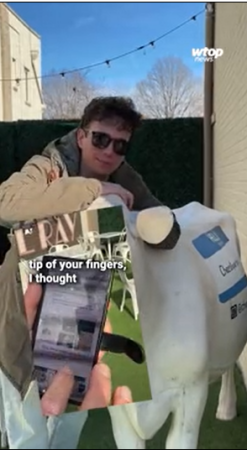 video still