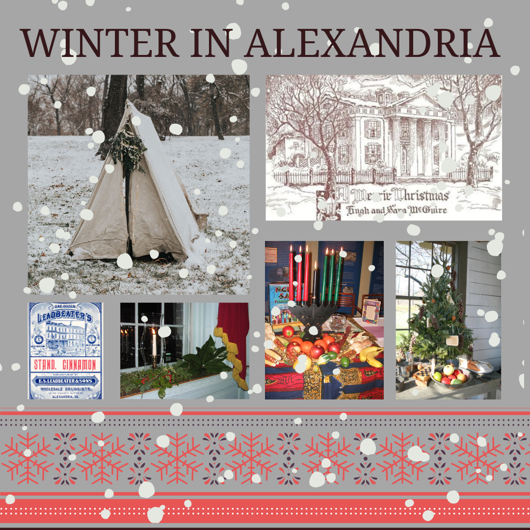 Winter in Alexandria Activity Portal