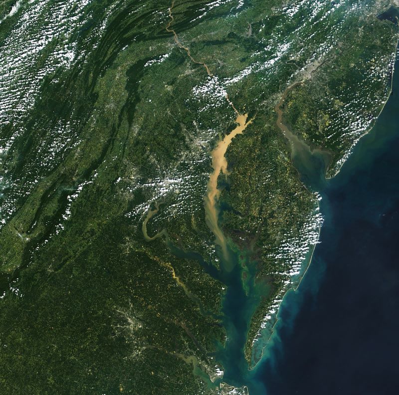 NASA image of the Chesapeake Bay from Earth Observatory story