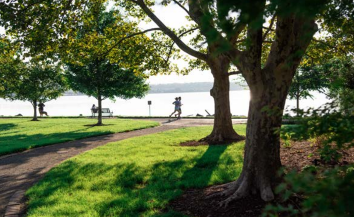 A photo of people jogging in Oronoco Park in Old Town Alexandria