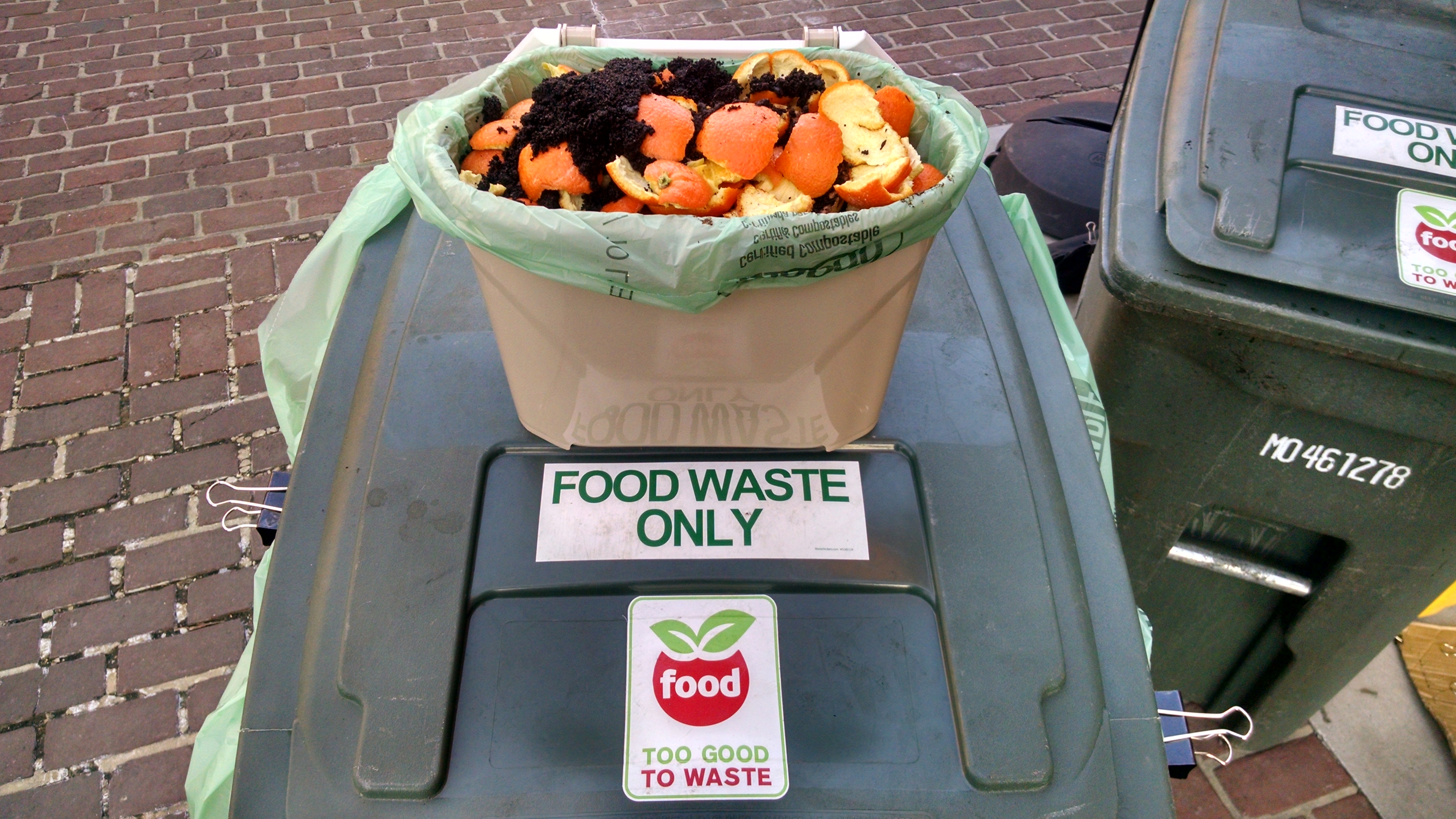 A photo of a small, residential plastic compost bucket filled with orange peels and coffee grounds. Sits atop the large food waste container than people empty their compost into when visiting the food waste stall at Alexandria farmers' markets
