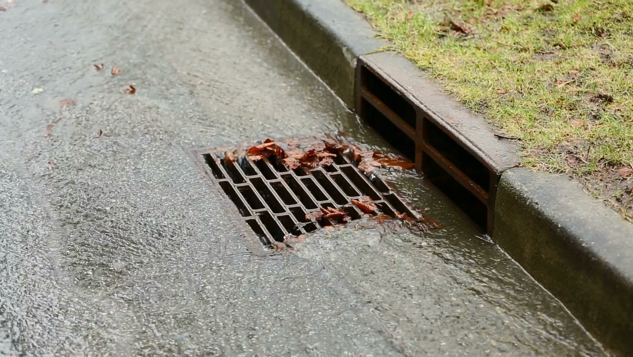Photo of an Alexandria storm drain on a rainy day