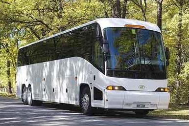 Photo of a white motorcoach bus driving down a tree-lined street