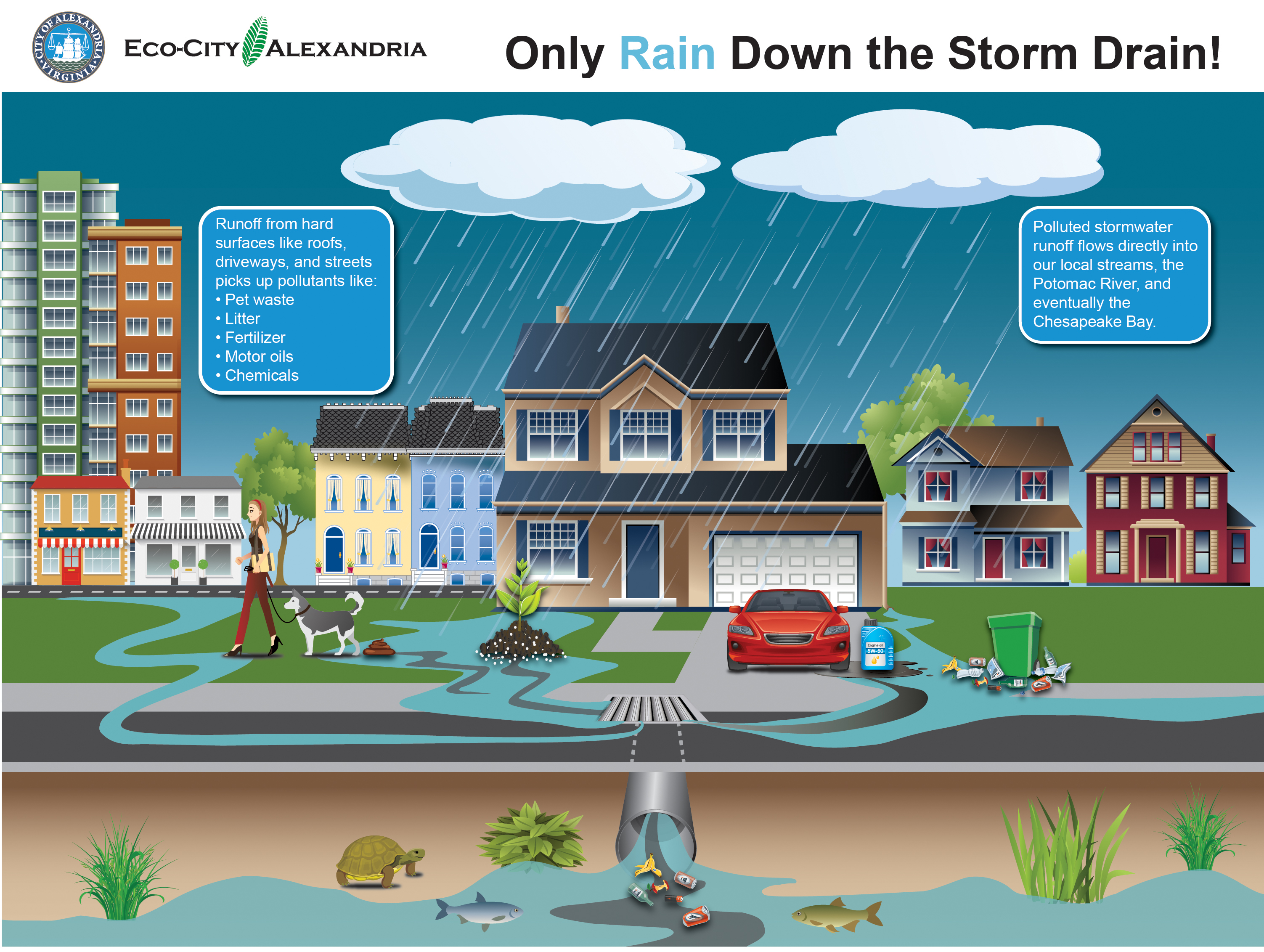 Only Rain Down the Storm Drain infographic