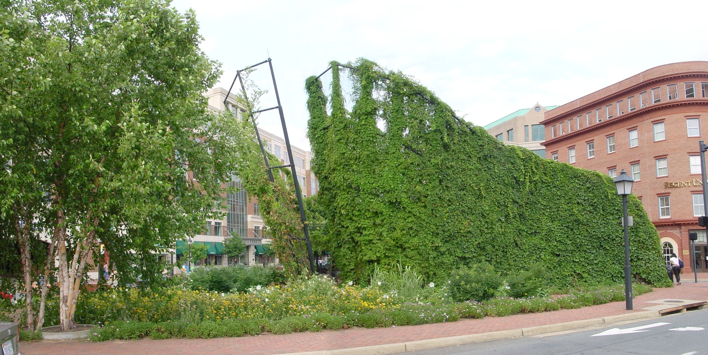 King Street Gardens Topiary