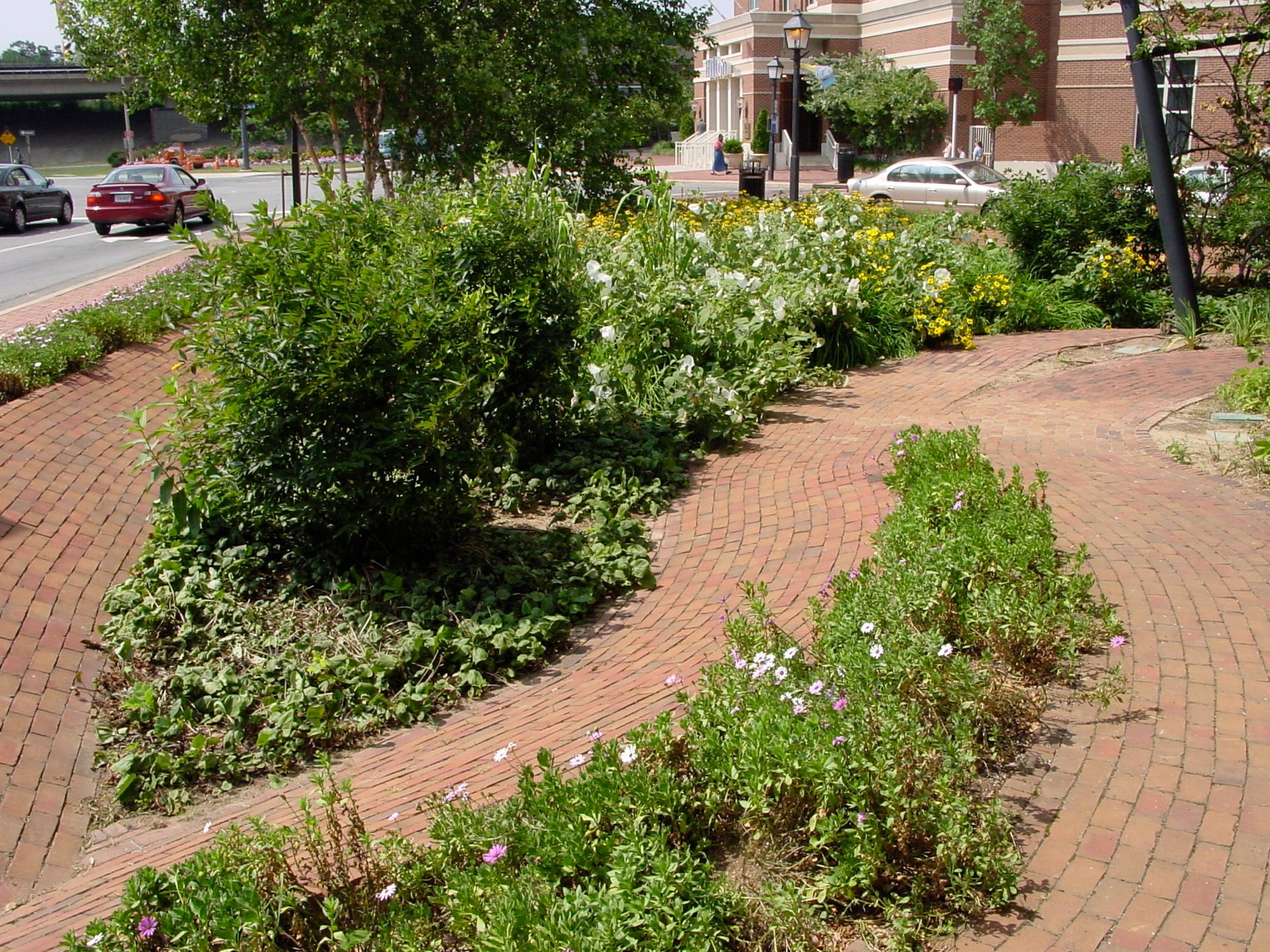 King Street Gardens Sunken Garden