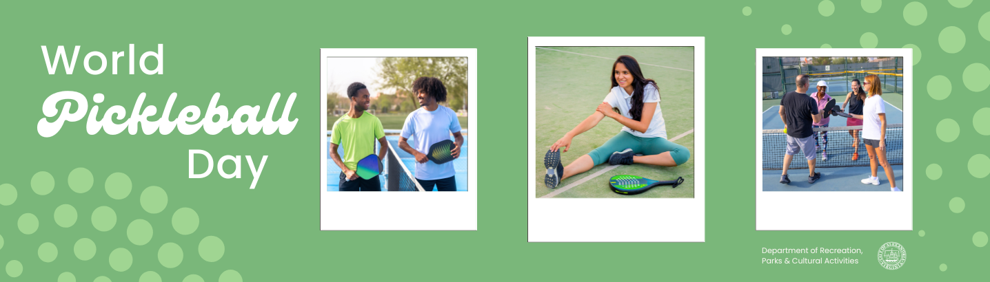 Pickleball Day Banner