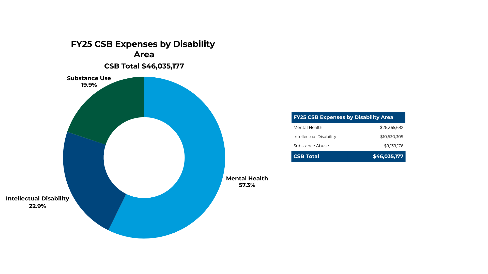 Donut graph showing FY25 CSB expenses by disability area