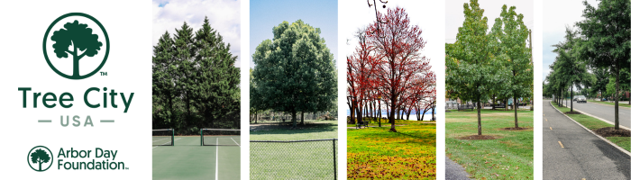 tree city usa with trees in our parks