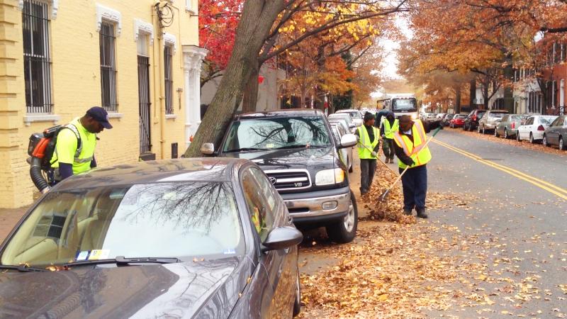 City of Alexandria leaf collection crew