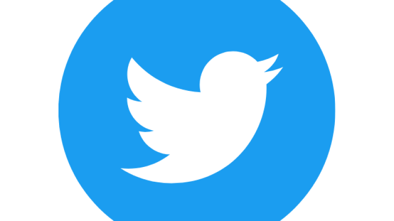 Logo for Twitter (white bird, blue background)
