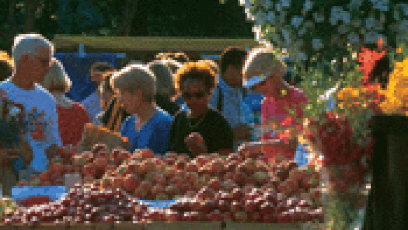 Farmers Market Market Square