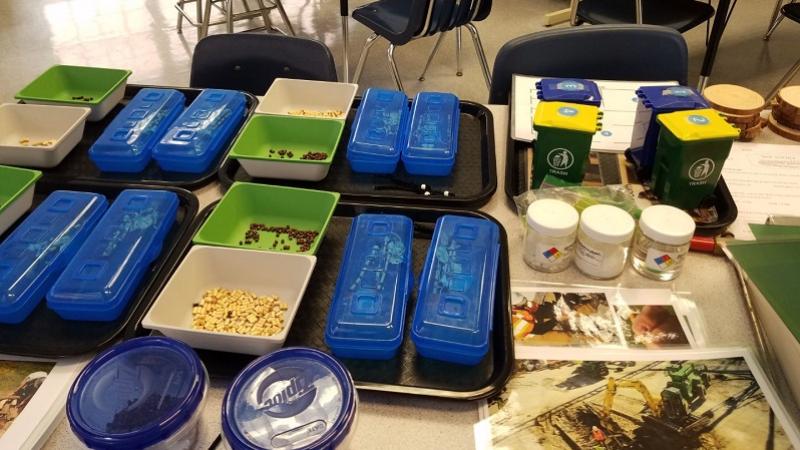 Archaeology Educational Program, sorting seeds