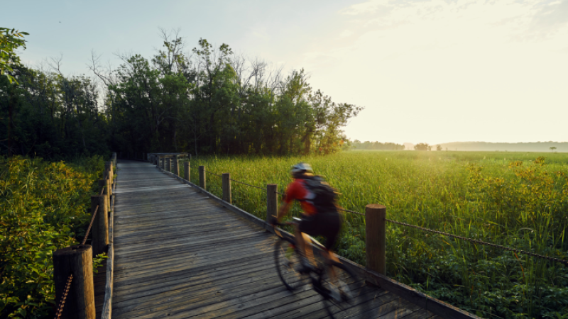 Google screen grab of person cycling on the Mt. Vernon trail