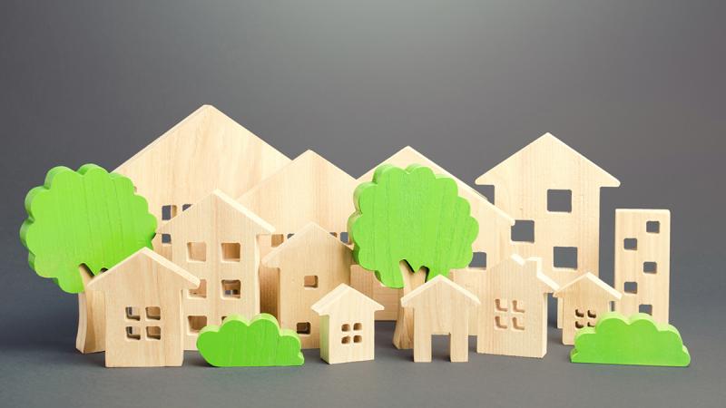 Housing Options image