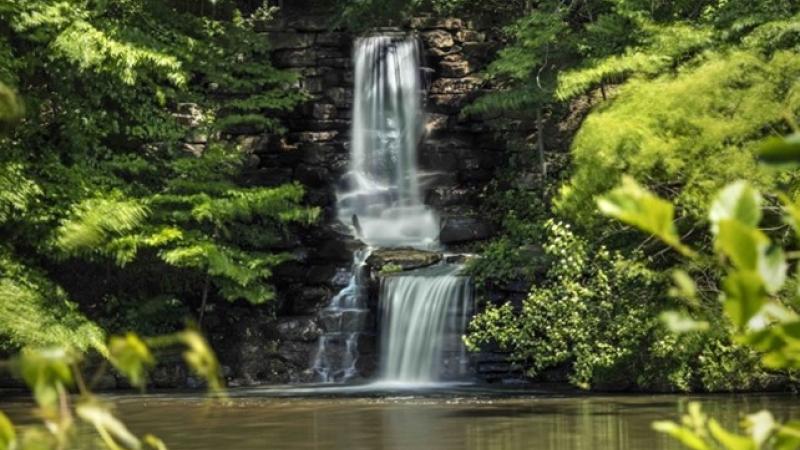 Winkler Botanical Preserve Waterfall 