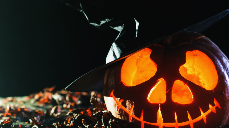 jack o lantern with witch hat on pile of leaves