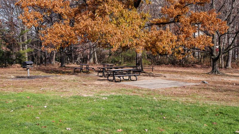Fort Ward Museum & Park 21