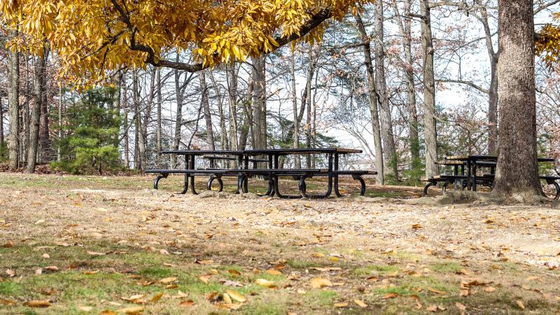 Fort Ward Museum & Park 17