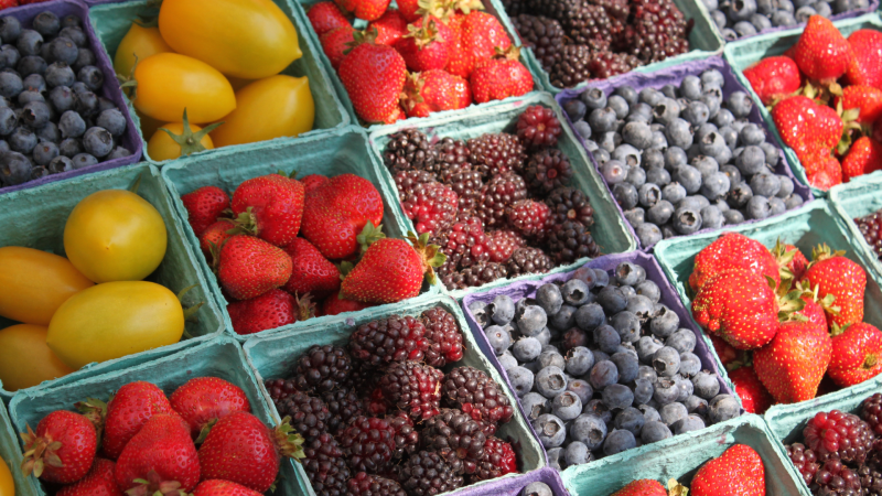 RPCAParkFarmersMarketWebbox1920x1080