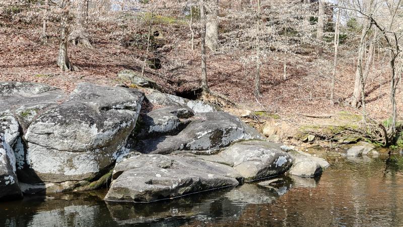 RPCA RO Dora Kelley Nature Park 2