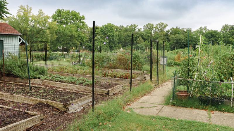 RPCA RO Chinquapin Park 15