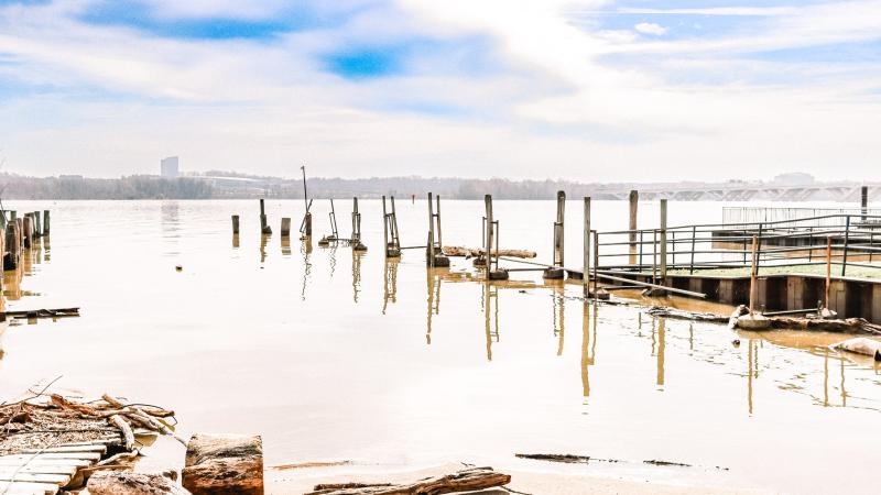 RPCA RO Point Lumley Park 3