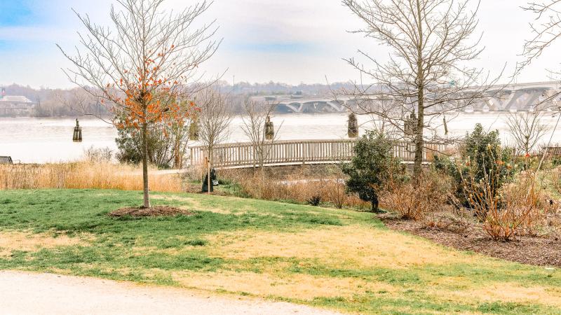 RPCA RO Windmill Hill Park 37