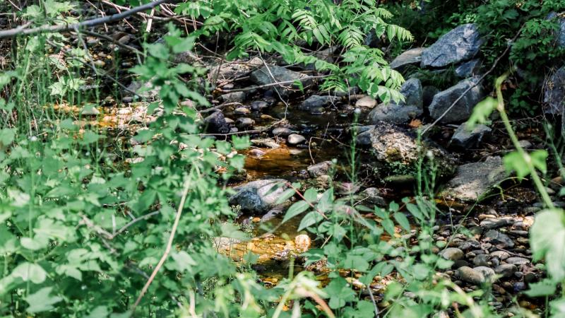 RPCA RO Taylor Run Park 1