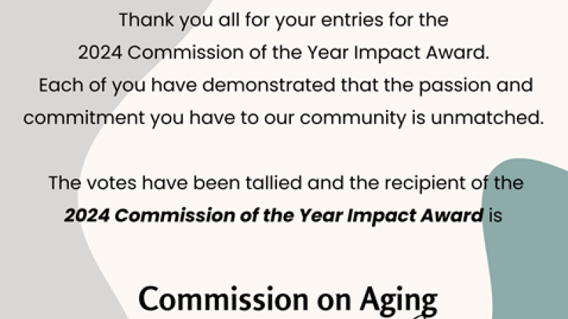 Commission of the Year Impact Award