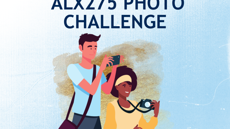 ALX275 Photo Challenge Image