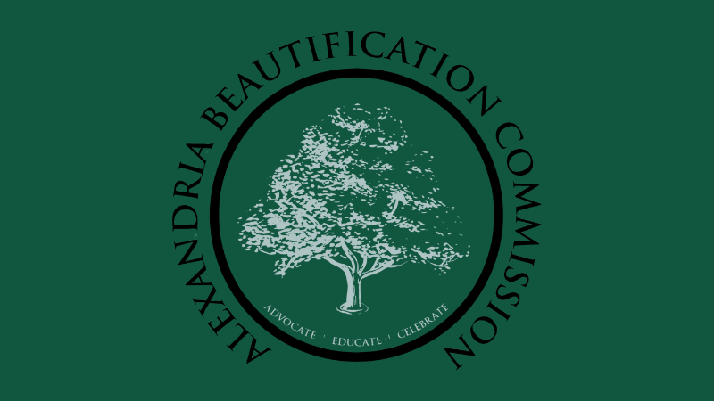 Alexandria Beautification Logo green background tree in the middle