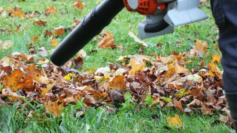 Leaf Blower