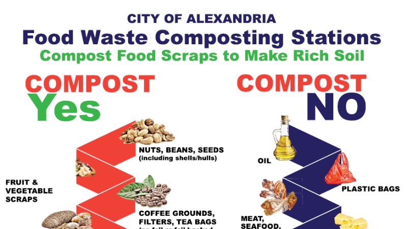 Food Waste Composting Station Flyer Preview