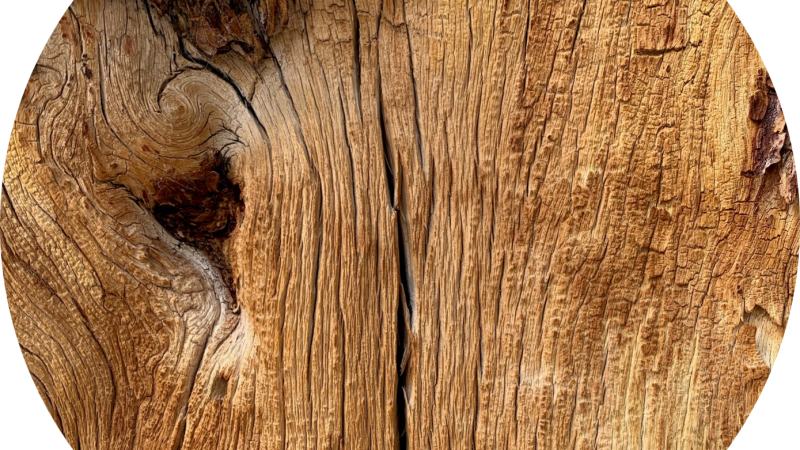 Circular image of wood grain.