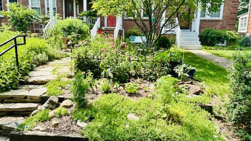 Image of 519 East Nelson Ave, which is the front yard of the house located at that address