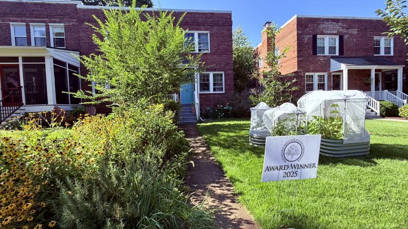Front yard filled with green shrubbery, tree, and other native plantings