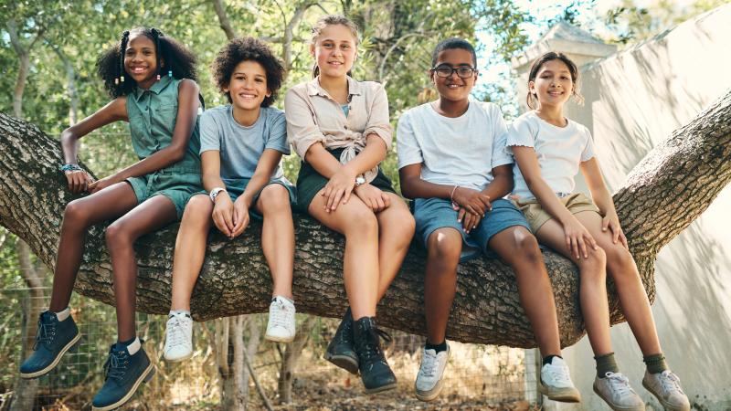 Group of teens sitting on a tree smiling at the camera