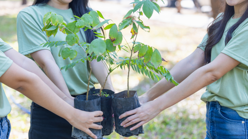 Volunteers wearing green holding plants and they're putting the plants close to each other in the middle, their faces not showing