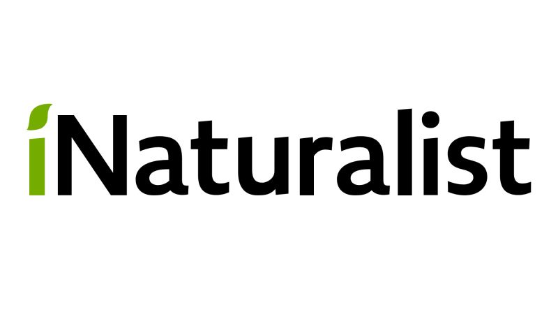 iNaturalist logo