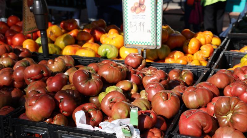 TOMATES
