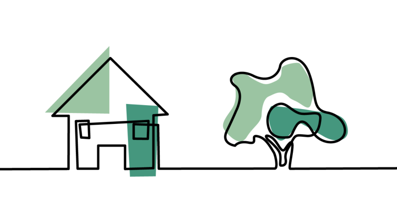Healthy Homes Action Plan icon