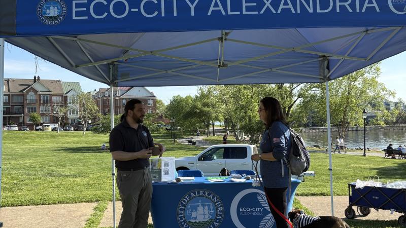 eco city tent in a park