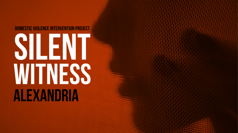 Domestic Violence Intervention Project: Silent Witness Alexandria. Text over a dark red background featuring a silhouette of a person.